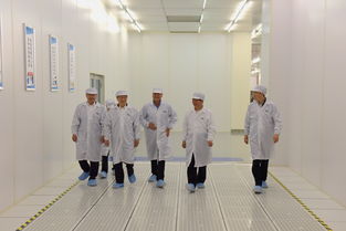 陳清泰調(diào)研長江存儲與武漢新芯，共話中國芯片產(chǎn)業(yè)發(fā)展