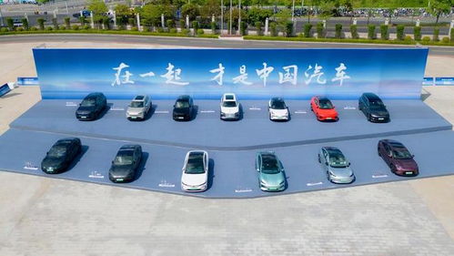 三十而立 從千萬輛下線到充電生態布局，比亞迪如何重塑新能源汽車版圖